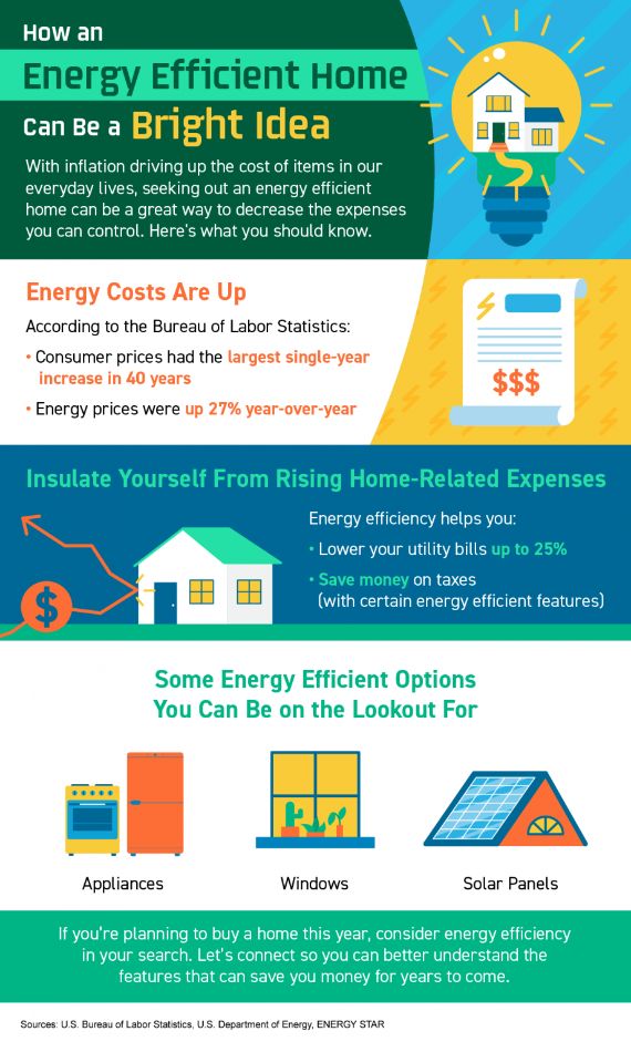 Energy Efficient Home Infographic